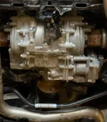 Honda_Exposed.webp