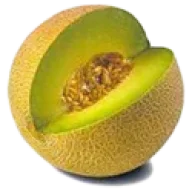 Melon