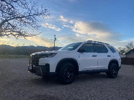 New Member Here