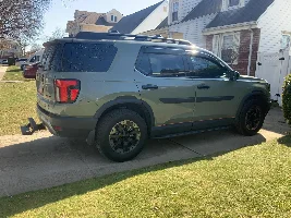 NEW ash Green Elite
