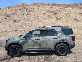 New owner TSE green/grey
