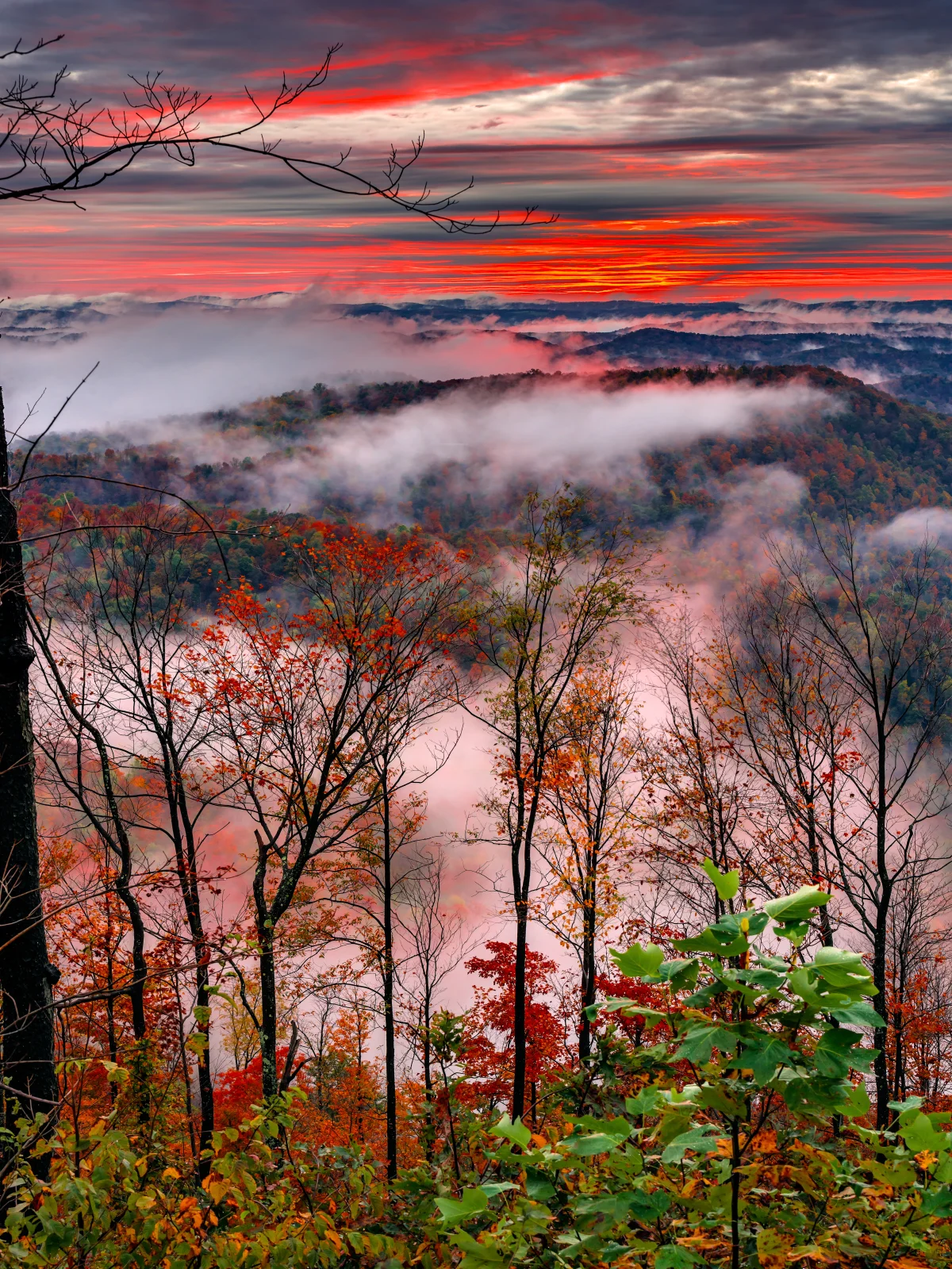 Fall_WV_Inversion_V4_W.webp